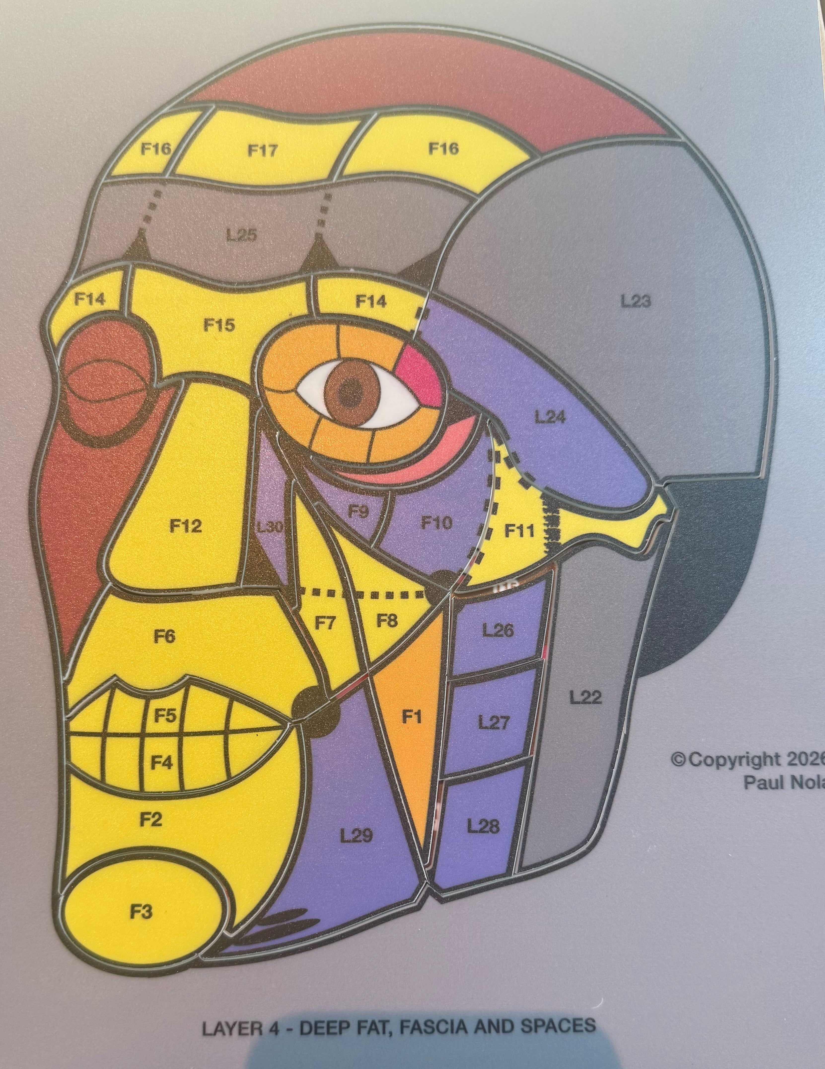 Unlock Aesthetic Anatomy Jigsaw Puzzles and Book